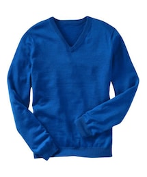 GAP | Merino V-neck sweater(ニット/セーター)