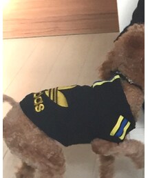 adidas | トップス