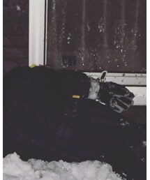 Birthday | その他アウター