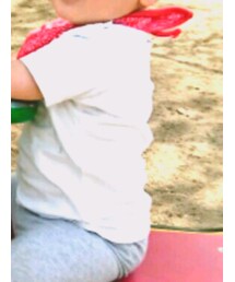 POLO | Tシャツ/カットソー