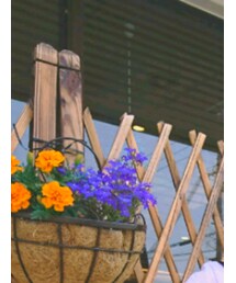 韓国子供服 | Tシャツ/カットソー