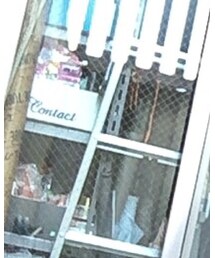 Harley-Davidson | Tシャツ/カットソー