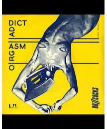 buzz cocks | レコード