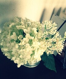 あじさい | あじさい。(その他)