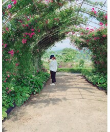 バラ園 | その他