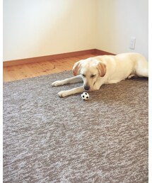 晴さん | その他