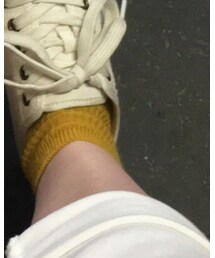 靴下屋 | ソックス/靴下