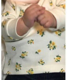 petit main | トップス