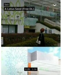 A Lotus Seed | 音楽/本・雑誌