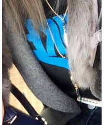 MOUSSY | Tシャツ/カットソー