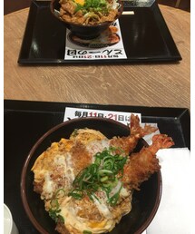 🍤丼 | その他