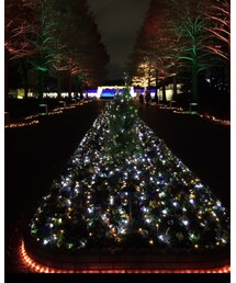 🎄イルミ💡1 | その他