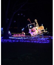 🎄イルミ💡2 | その他