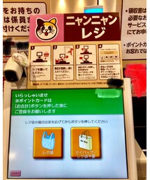 🐱レジ | その他