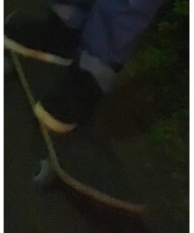 REAL | スポーツグッズ