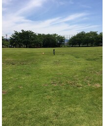 柏谷公園 | その他