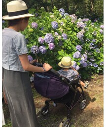 紫陽花キレイ〜♡ | その他