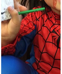 スパイダーマン | その他