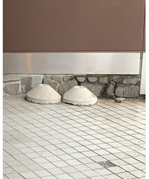 KANGOL | Tシャツ/カットソー