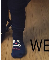 靴下屋 | ソックス/靴下