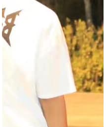 STUSSY | Tシャツ/カットソー