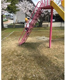 ミラクル | その他