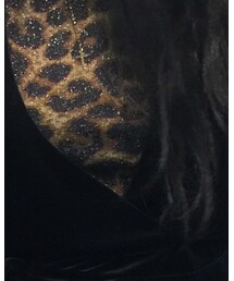 ZARA | トップス