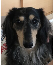 あも🐶 | その他