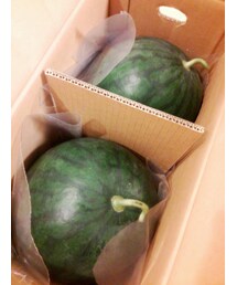 🍉 | スイカどーん(その他)