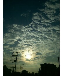 。 | 朝陽と鱗雲(その他)