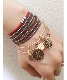 CHAN LUU×ALEX AND ANY | アクセサリー