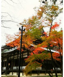 🍁🍂 | その他