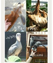 全部が近いw | その他