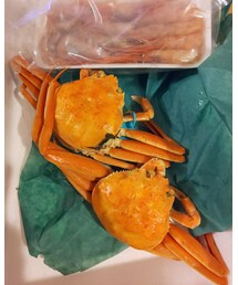 🦀🦐 | 食器/キッチン