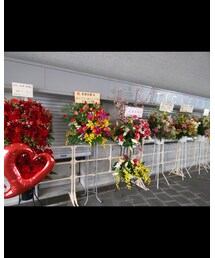 💐 | その他