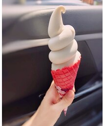 🍦 | その他