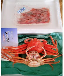 🦀 | その他