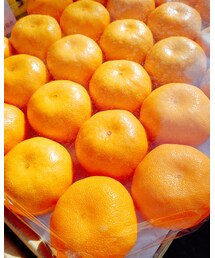 🍊 | その他