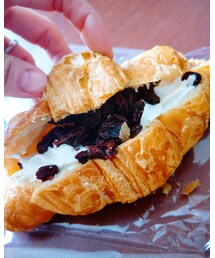 🥐 | その他