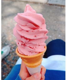 🍦 | その他