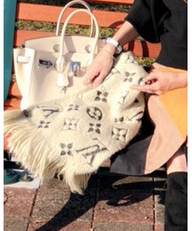 LOUIS VUITTON | マフラー