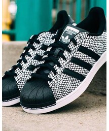 adidas Originals | adidas Originals メンズ レディース SUPERSTAR SNAKE PACK スニーカー スーパースター S81728 (スニーカー)