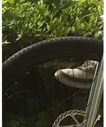 DVS | スニーカー