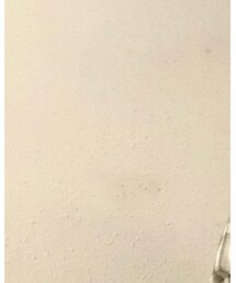 HERON PRESTON | その他トップス