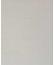 INGNI | Tシャツ/カットソー