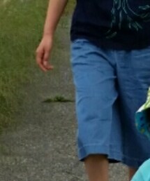 GU | デニムパンツ