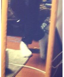 GU | ソックス/靴下