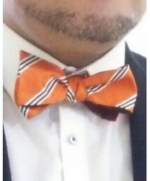 BEAUTY&YOUTH UNITED ARROWS | 蝶ネクタイ