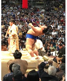 琴奨菊 | その他