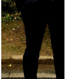 LACOSTE | スーツパンツ